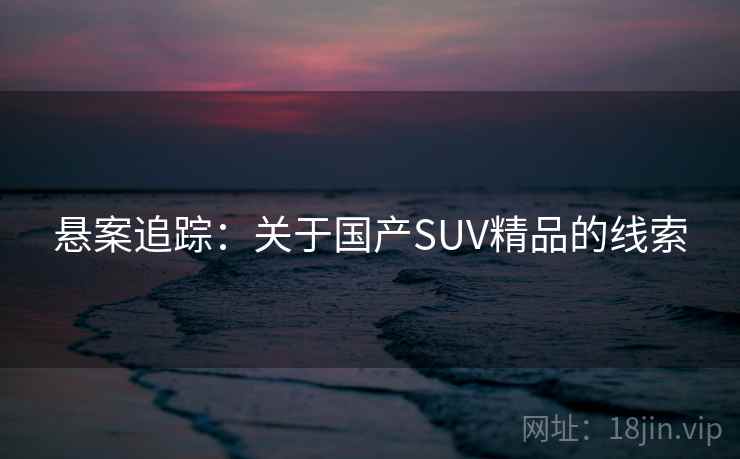 悬案追踪：关于国产SUV精品的线索